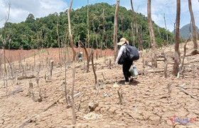 Lòng hồ thủy điện Bản Vẽ trơ đáy, dân mở đường bộ thay đi thuyền