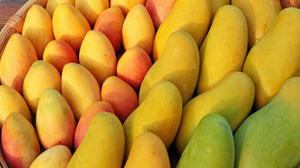 Ăn nhiều xoài có tốt không?