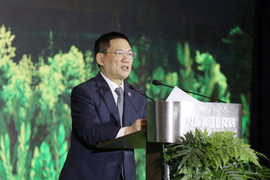 Bộ trưởng Tài Chính: Chi ngân sách cho bảo vệ môi trường đạt trên 21.000 tỷ đồng/năm