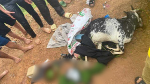 Thủ đoạn bắn trộm dê rồi trốn chạy của 3 cựu công an ở huyện Mỹ Đức