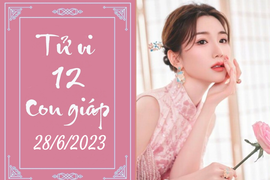 Tử vi vui 12 con giáp hôm nay ngày 28/6/2023: Hợi cầu thị, Tý may mắn