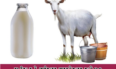 Người IQ cao sẽ đoán ra tên tỉnh thành này trong 20 giây