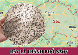 30 giây, đố bạn đoán được đây là tên thành phố nào của Việt Nam?