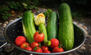 Ăn vỏ bí đao, cà tím và dưa chuột có tác dụng gì?