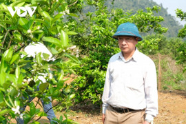 2 lãnh đạo huyện ở Lai Châu bị cách tất cả chức vụ Đảng và chính quyền