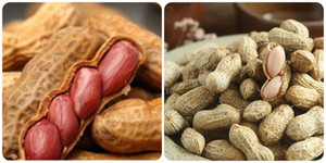 Những người không nên ăn lạc luộc