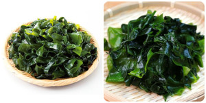 Rong biển có tác dụng gì?