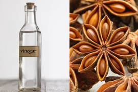 Hoa hồi ngâm giấm trắng có tác dụng gì?