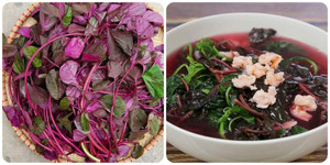 Loại rau quen thuộc tại Việt Nam được thế giới gọi là 'rau trường thọ'