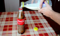 Uống Coca Cola với sữa có sao không?
