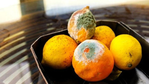 Vợ chồng trẻ bị ung thư gan từ thói quen ăn uống 'tiết kiệm' mà nhiều người mắc phải