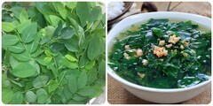 Ai không nên ăn rau ngót?