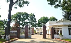 Ăn trộm cây hoa giấy, trưởng phòng Tư pháp bị cách chức