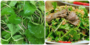 Những người không nên ăn rau má