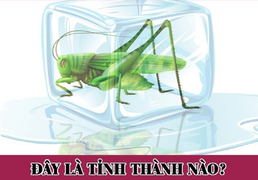 Câu đố IQ đoán tên tỉnh thành cực khó