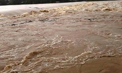 Cảnh sát Đường thủy cứu được thuyền viên bị rơi xuống sông Cấm