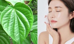 Tác dụng của lá trầu trong làm đẹp