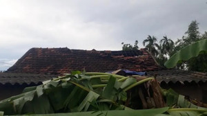 Dông lốc làm hàng trăm nhà dân ở Quảng Trị tốc mái