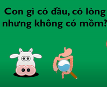 Câu đố đơn giản nhưng 10 người thì 9 người trả lời sai