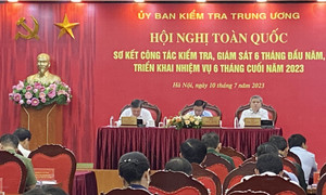 182 tổ chức Đảng và hơn 7.000 đảng viên bị kỷ luật trong 6 tháng đầu năm