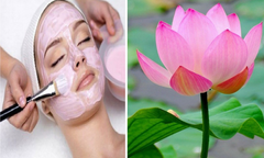 Tuyệt chiêu làm đẹp từ hoa sen