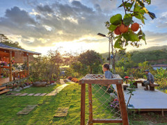 Ngôi nhà đẹp như cổ tích trên đồi ở Lâm Đồng khiến ai cũng muốn bỏ phố về quê