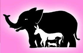 Bạn nhìn thấy bao nhiêu con vật trong bức hình này?