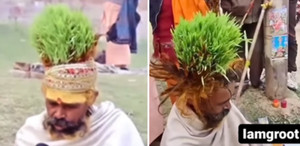 'Quái nhân' trồng cả vườn cỏ trên đầu gây sốt mạng xã hội 