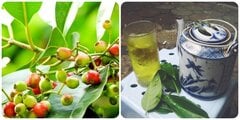 Những ai không nên uống nước vối?