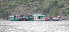 Quảng Ninh sơ tán người dân trên lồng bè đến nơi an toàn trước khi bão số 1 ảnh hưởng