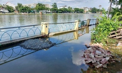TP.HCM: Chấm dứt hợp đồng nhà thầu làm chậm tiến độ thi công kè kênh Thanh Đa