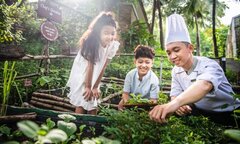 Khánh Hoà phát động chương trình 'Hành động xanh - Vì tương lai xanh'