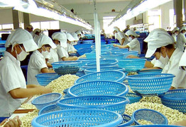 Đối tác mua 3 container tiêu, điều của doanh nghiệp Việt tại UAE 'mất tích' 