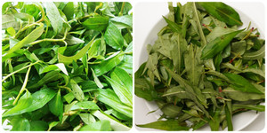 Rau răm có công dụng gì?