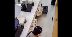 Chuột ngất xỉu khi nghe cô gái hét
