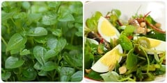 Rau càng cua có tốt không?