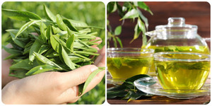 Uống nước chè xanh có tốt không?