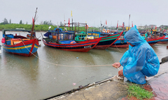 Mưa lớn ở Tây Nguyên và Nam Bộ, mưa dông ở Trung Bộ trong ngày 22/7