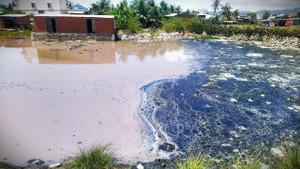 Nhiều cơ sở chế biến mực xà tại Bình Định ngang nhiên 'bức tử' môi trường