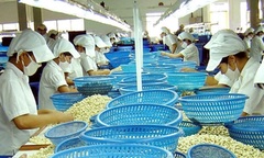 Thêm 1 doanh nghiệp Việt nghi bị lừa 2 container điều khi xuất khẩu sang UAE