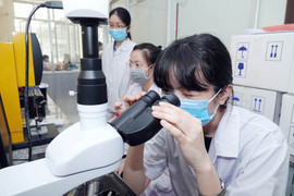 Điểm chuẩn các trường ngành Y Dược dự báo tăng 0,5 - 1 điểm