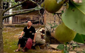 Mơ thấy một cây lê suốt 27 năm, chàng trai bật khóc khi thấy nó ngoài đời và tìm ra bố đẻ