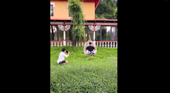 Thanh niên ngã sấp mặt vì mải sống ảo