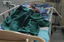 Người đàn ông ở Quảng Nam tử vong vì bị ong vò vẽ đốt