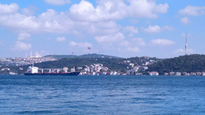 Nga phát hiện dấu vết thuốc nổ trên tàu chở ngũ cốc nước ngoài