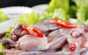 Trẻ suy dinh dưỡng có nên ăn thịt cóc?