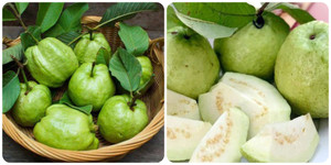 Ổi ngon, giàu dinh dưỡng nhưng lại 'đại kỵ' với 3 nhóm người sau