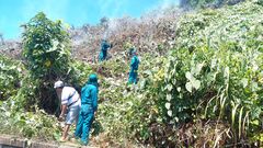 Cháy rừng Hải Vân giữa trời nắng nóng, hơn 150 người nỗ lực dập lửa