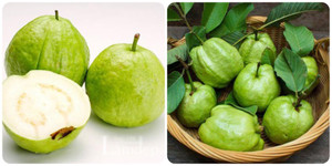 Ăn ổi có tốt không?