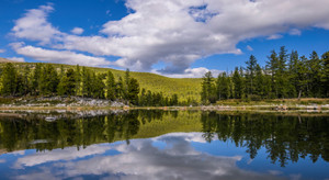 Thăm bộ lạc nuôi tuần lộc trên thảo nguyên Mông Cổ